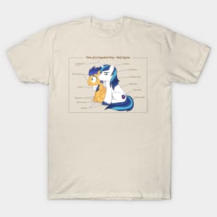 Pony Anatomy - Male Equine T-Shirt